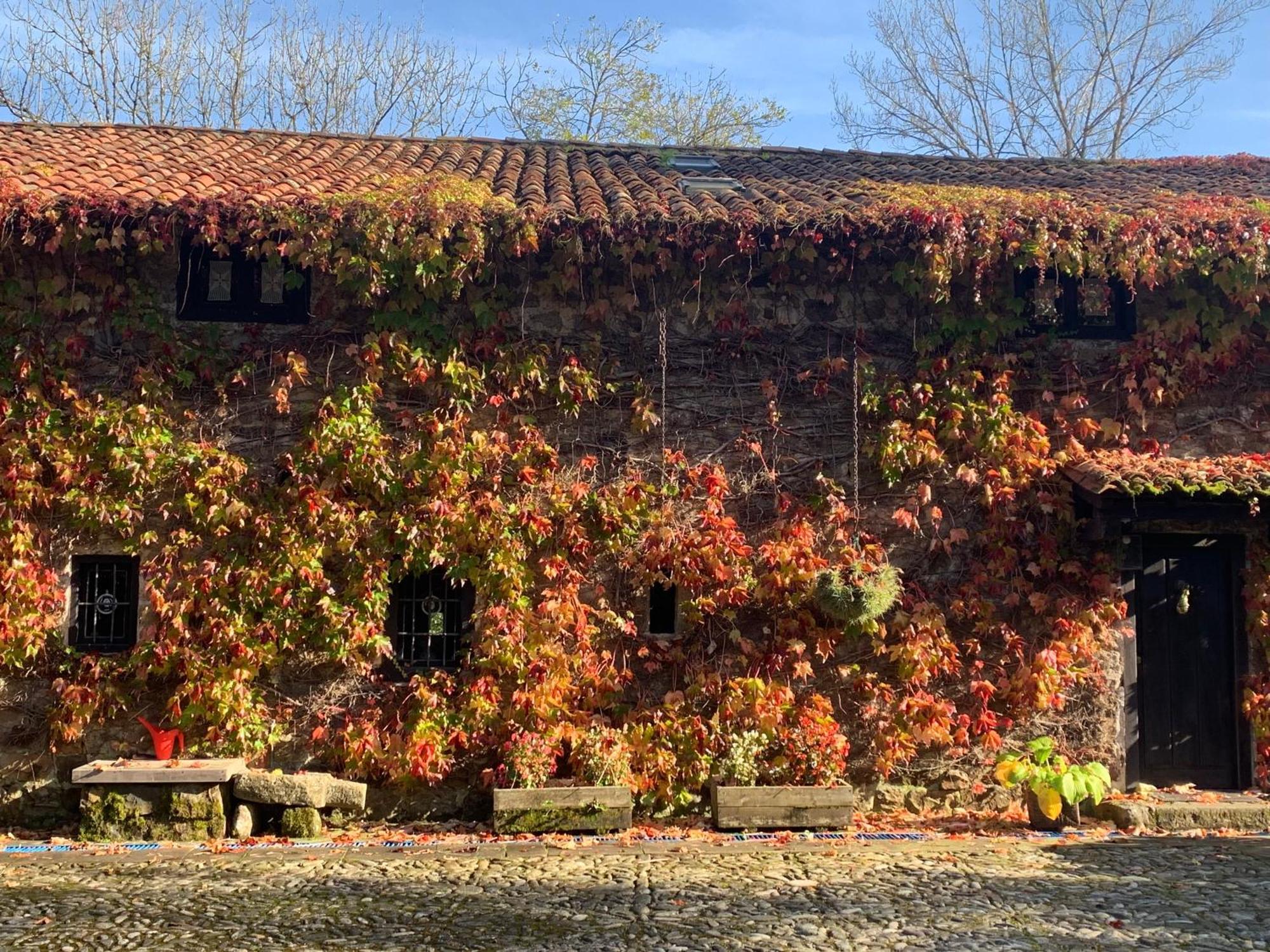 Villa Remanso Del Rio Saja Renedo De Cabuerniga Esterno foto