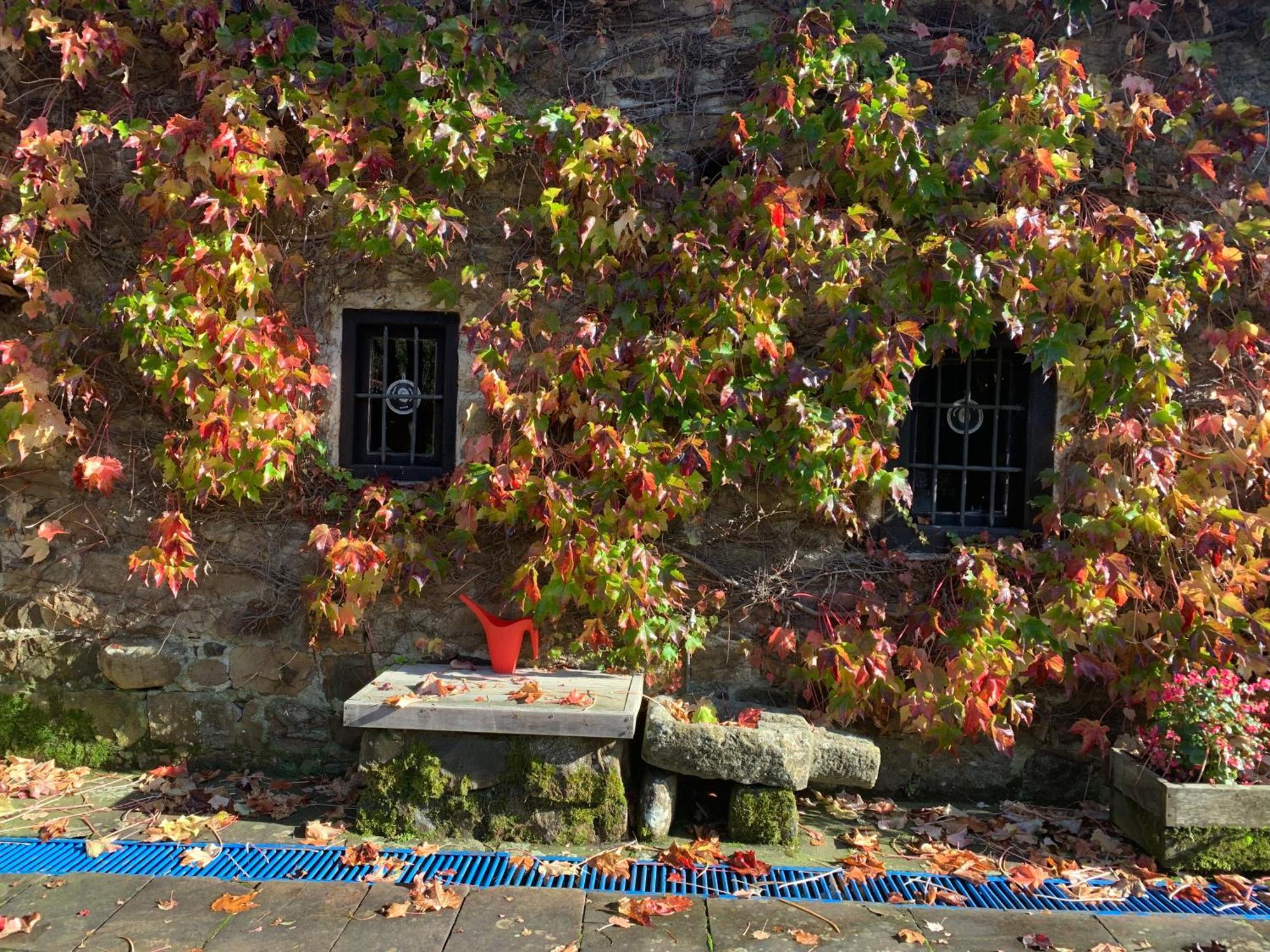 Villa Remanso Del Rio Saja Renedo De Cabuerniga Esterno foto